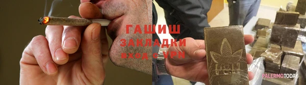 гидра Верея