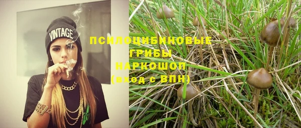 гидра Верея