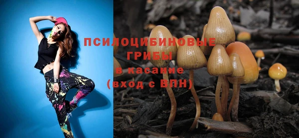 гидра Верея