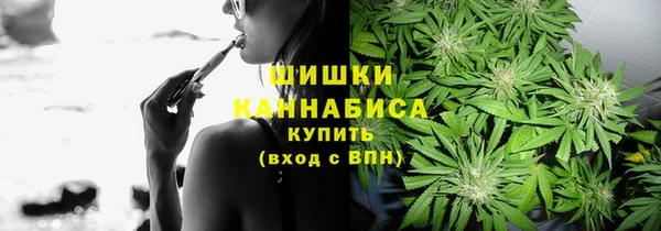 гидра Верея